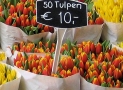 Mercato dei Fiori di Amsterdam