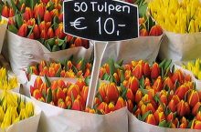 Mercato dei Fiori di Amsterdam